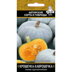 ������ ������ ����� ������������� ��������-����������   ����