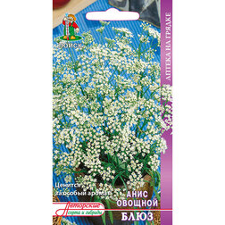 ������ ������ ���� ������� ����   ����