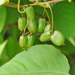 ������ ������ ��������� ��������� ���������   ����