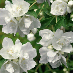 ������ ������ ������ ������� (��������) ������� ����   ����