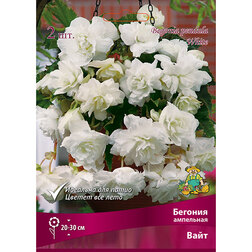 ������ ������ ������� ��������� ���� (2 ��.)   ����