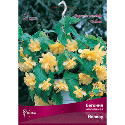 ������ ������ ������� ��������� ������ (2 ��.)   ����