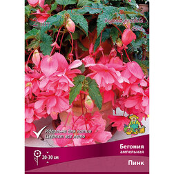 ������ ������ ������� ��������� ���� (2 ��.)   ����