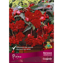 ������ ������ ������� ��������� ������� (2 ��.)   ����