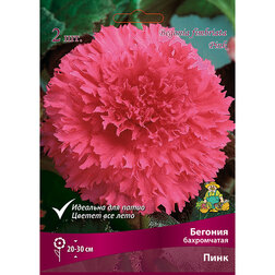 ������ ������ ������� ����������� ���� (2 ��.)   ����