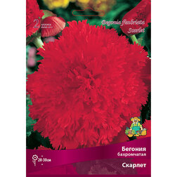 ������ ������ ������� ����������� ������� (2 ��.)   ����