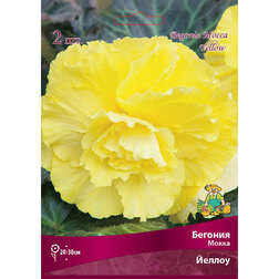 ������ ������ ������� ����� ������ (2 ��.)   ����