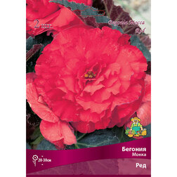 ������ ������ ������� ����� ��� (2 ��.)   ����