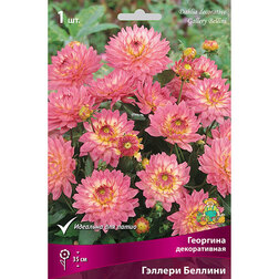 ������ ������ �������� ������������ ������� ������� (1 ��.)   ����