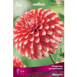 ������ ������ �������� ������������ ����� (1 ��.)   ����