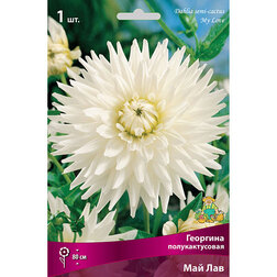 ������ ������ �������� �������������� ��� ���   ����