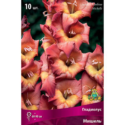 ������ ������ ��������� ������� ������   ����