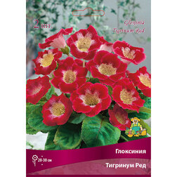 ������ ������ ��������� �������� ���   ����