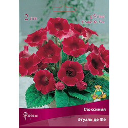 ������ ������ ��������� ������ �� ��   ����