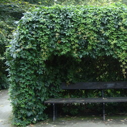 ������ ������ ������� ���������������� ���������   ����