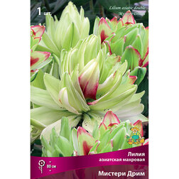 ������ ������ ����� ��������� �������� ������� ���� (1 ��.)   ����