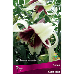 ������ ������ ����� ������� ���� ��� (1 ��.)   ����