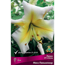 ������ ������ ����� ��-������ ���� ��������� (2 ��.)   ����