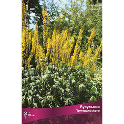 ������ ������ ��������� �������������   ����