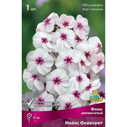 ������ ������ ����� ����������� ����� ��������   ����