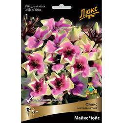 ������ ������ ����� ����������� ����� ����*   ����