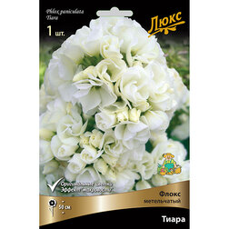 ������ ������ ����� ����������� �����*   ����