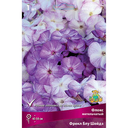 ������ ������ ����� ����������� ����� ��� �����   ����