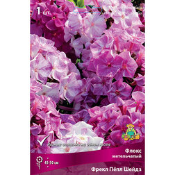 ������ ������ ����� ����������� ����� ϸ�� �����   ����