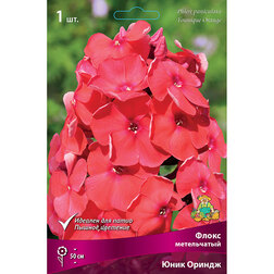 ������ ������ ����� ����������� ���� ������   ����