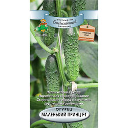 ������ ������ ������ ��������� ����� F1   ����