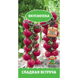 ������ ������ ����� ������� ������� (����������)   ����