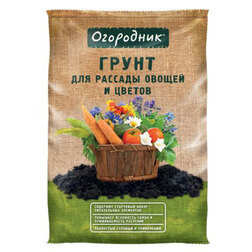 ������ ������ ���������� ��������� ��� ������� ������ � ������ (9 �)   ����