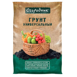 ������ ������ ���������� ��������� ������������� (22 �)   ����