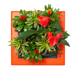 ������ ������ ��������� � �������� ���������������� ������ (���������)   ����