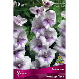 ������ ������ ��������� ������� ������ ����   ����