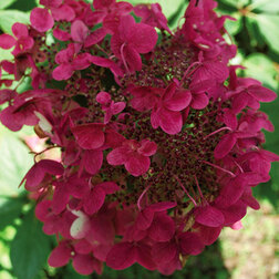 ������ ������ ��������� ����������� ���� ���   ����