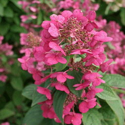 ������ ������ ��������� ����������� �������� ����   ����