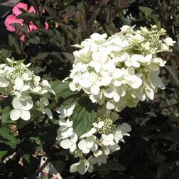 ������ ������ ��������� ����������� ������� ����   ����