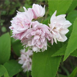 ������ ������ ������ ��������� ���� ���-���   ����