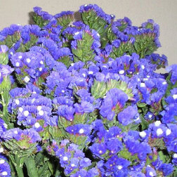 ������ ������ ������� ��� ���� ��� (1��-1000��) ���������������� ������   ����