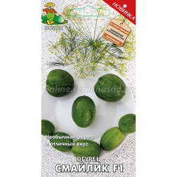 ������ ������ ������ ������� F1   ����