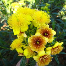 ������ ������ ������� �������� ���������� �����   ����