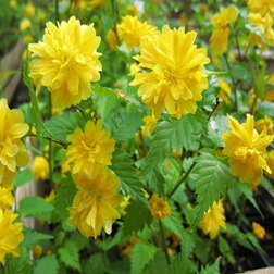 ������ ������ ������ �������� ����������   ����