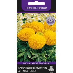 ������ ������ �������� ������������ ������� ����� (������ �����)   ����