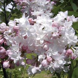 ������ ������ ������ ������������ ��������� ������   ����