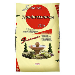 ������ ������ ����������� ����� ������������ ������ (10�)   ����