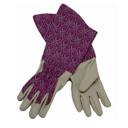 ������ ������ �������� ������� ���������� ������� (Briers)   ����