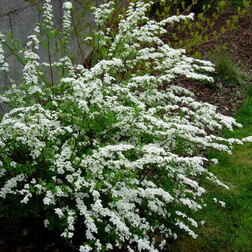 ������ ������ ������ ������   ����