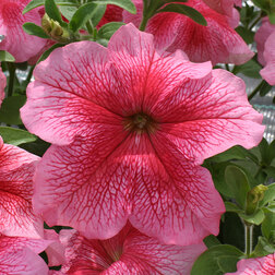 ������ ������ ������� ����������� ����� ���������� ������ (1��-5000�����)   ����