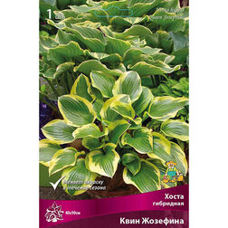 ������ ������ ����� ��������� ���� ��������   ����